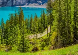 Auto-Reise Schweiz - Fragen und Antworten