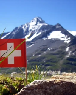 Planen Sie einen Roadtrip durch die Schweiz?
