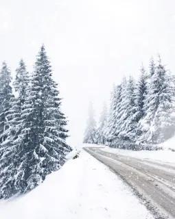 Die 10 Top-Roadtrips in Deutschland