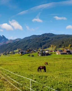 Eine malerische Reise durch die Alpen
