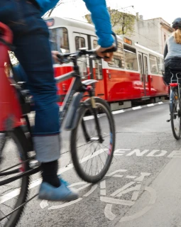 Bußgeldkatalog Österreich 2024